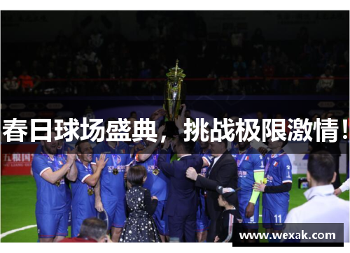春日球场盛典，挑战极限激情！